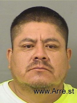 Luis  Chavezbarela Mugshot