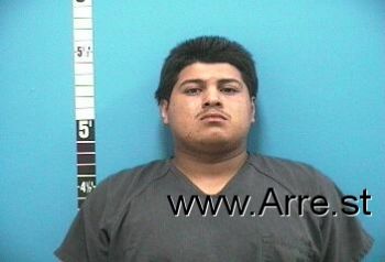 Luis Gerardo Farias-magana Mugshot