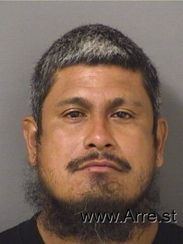 Luis Manuel Jr Najera Mugshot