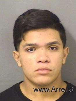 Luis Adonis Reyeschirinos Mugshot