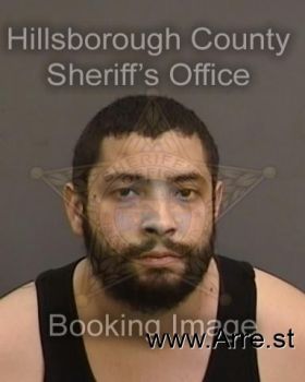 Luis Anibal Torres Martinez Mugshot