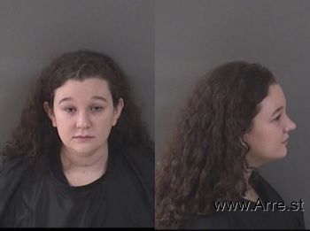 Laura Ann Schmidt Mugshot