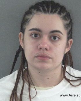 Lauren Nicole Miller Mugshot