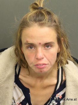 Lauren Michelle Ohlinger Mugshot