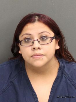 Leonor  Flores Mugshot