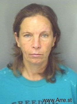 Linda Sue Johnson Mugshot