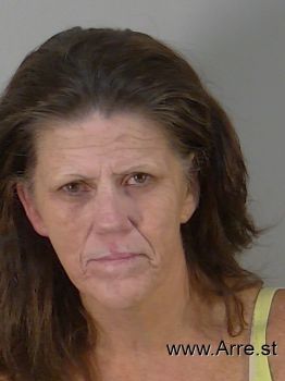 Linda Kay Klein Mugshot