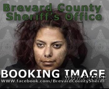 Linda  Perez-silva Mugshot