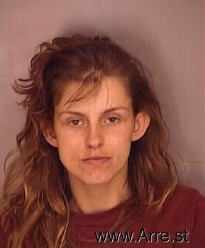 Lisa M Andrezewski Mugshot