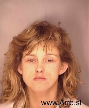 Lisa Michelle Andrezeywski Mugshot