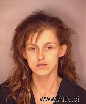 Lisa Michelle Andrezeywski Mugshot