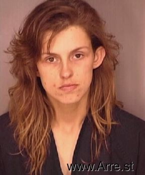 Lisa Michelle Andrezeywski Mugshot