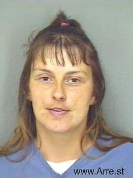 Lisa Michelle Andrezeywski Mugshot