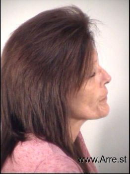 Lisa Ann Bailey Mugshot