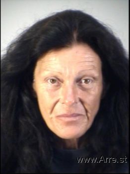 Lisa Ann Bailey Mugshot