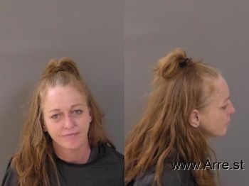 Lisa Sue Brown Mugshot