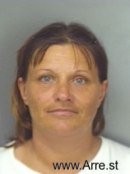 Lisa Josephine Chandler Mugshot