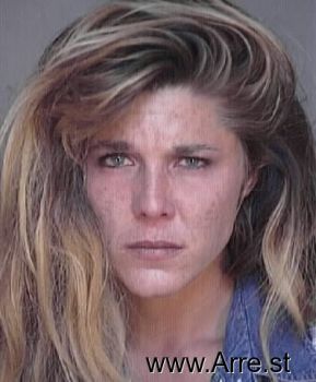 Lisa Marie Chapman Mugshot