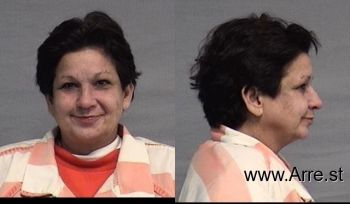 Lisa Susan Coleman Mugshot