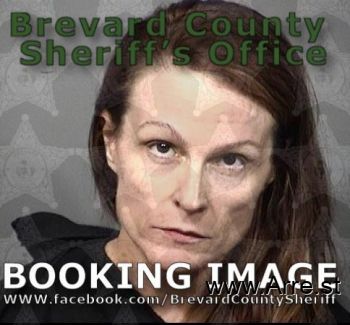 Lisa Faye Crites Mugshot