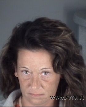 Lisa Ann Davidson Mugshot