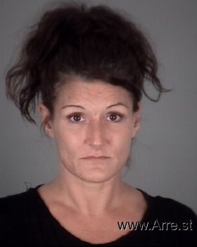 Lisa M Demers Mugshot