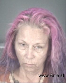 Lisa Michelle Dillard Mugshot