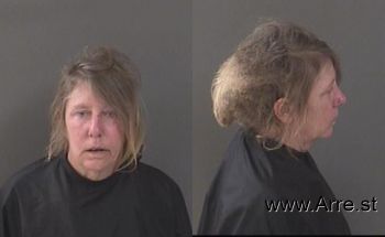 Lisa  Fuller Mugshot