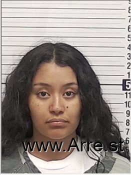 Lisa Marie Garcia-perez Mugshot