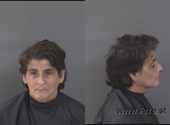 Lisa Ann Goldenberg Mugshot