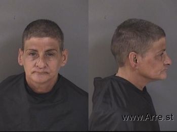 Lisa Ann Goldenberg Mugshot