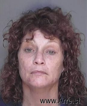 Lisa Ann Harrison Mugshot