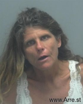 Lisa Kay Hill-topolyn Mugshot