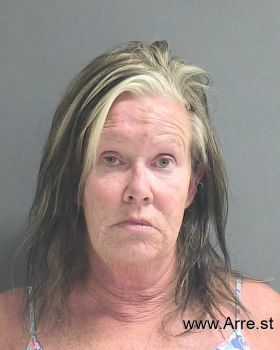 Lisa R Hopkins Mugshot