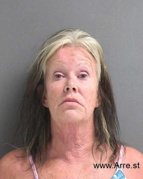 Lisa R Hopkins Mugshot