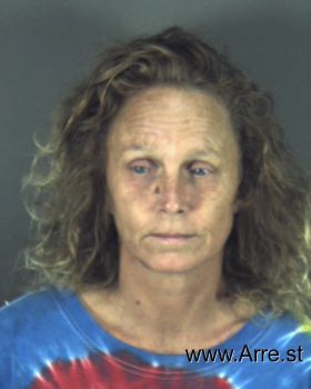 Lisa Wagner Johnson Mugshot