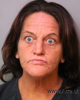 Lisa  Johnson Mugshot