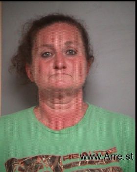 Lisa  Johnson Mugshot