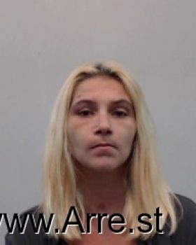 Lisa Lynn Johnson Mugshot