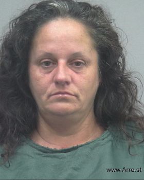 Lisa Gier King Mugshot