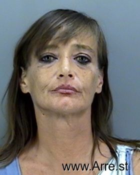 Lisa J King Mugshot