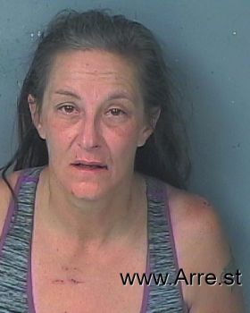 Lisa Jean King Mugshot