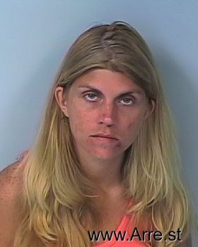 Lisa Christine Lewandowski Mugshot