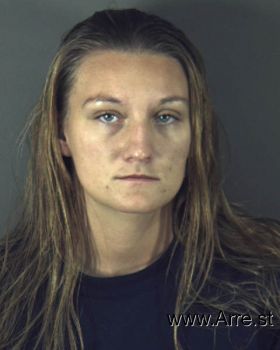 Lisa C Long Mugshot