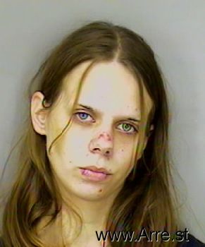 Lisa Beth Miller Mugshot