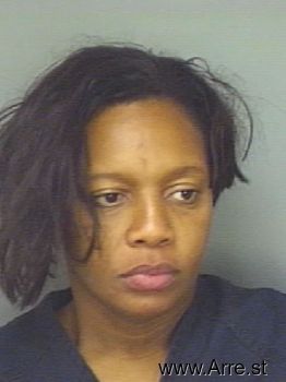 Lisa L Mitchell Mugshot