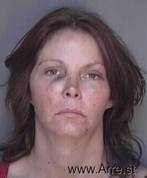 Lisa R Murray Mugshot