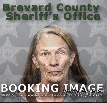 Lisa Paige Scott Mugshot