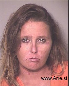 Lisa Marie Triplett Mugshot