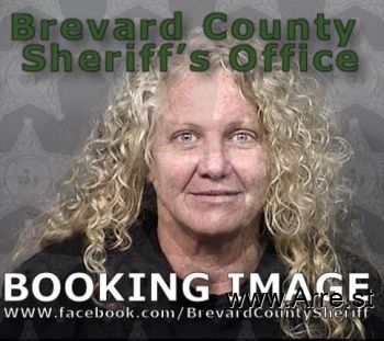 Lisa Vogt Wells Mugshot